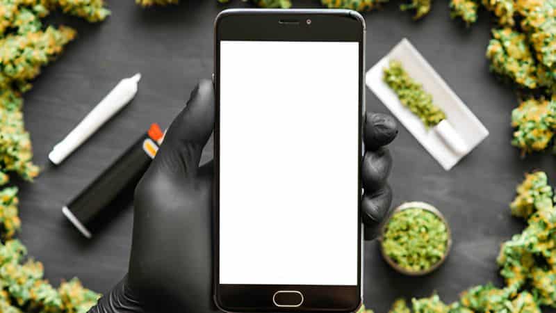 Avoid Canadian weed dispensaries that do not provide product testing information.