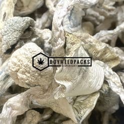 Albino Extra Terrestrial Magic Mushroom - Online Dispensary Canada - Buyweedpacks