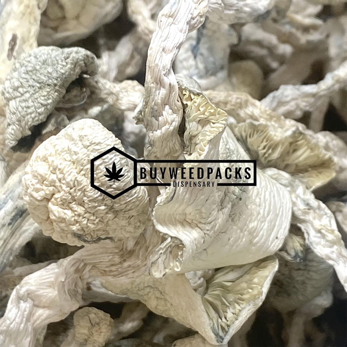 Albino Extra Terrestrial Magic Mushroom - Online Dispensary Canada - Buyweedpacks