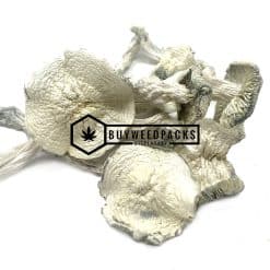 Albino Extra Terrestrial Magic Mushroom - Online Dispensary Canada - Buyweedpacks