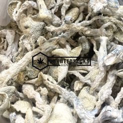 Albino Extra Terrestrial Magic Mushroom - Online Dispensary Canada - Buyweedpacks