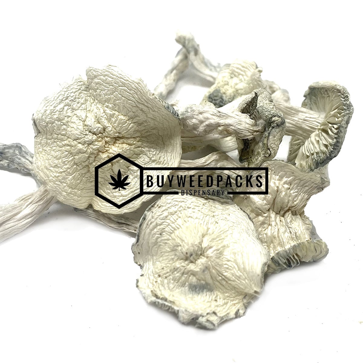 Albino Extra Terrestrial Magic Mushroom - Online Dispensary Canada - Buyweedpacks
