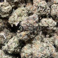 Bear Claw - Buy Weed Online - Buyweedpacks