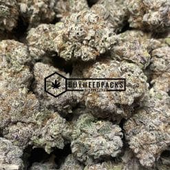 Blackberry Kush - Online Dispensary Canada - Buyweedpacks