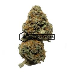 Butterscotch - Online Dispensary Canada - Buyweedpacks