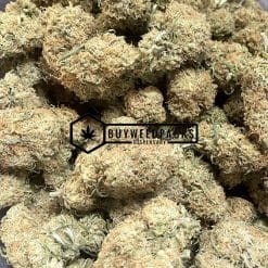 Cat Piss - Online Dispensary Canada - Buyweedpacks