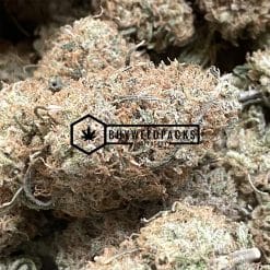 Cat Piss - Online Dispensary Canada - Buyweedpacks