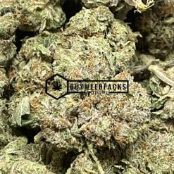 Gassy Rockstars - Online Dispensary Canada - Buyweedpacks