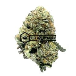 Gassy Rockstars - Online Dispensary Canada - Buyweedpacks
