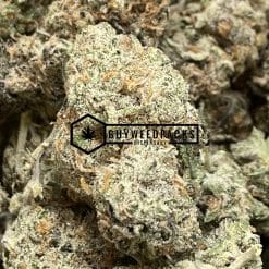 Grapefruit - Online Dispensary Canada - Buyweedpacks