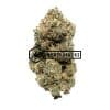 Grapefruit - Online Dispensary Canada - Buyweedpacks