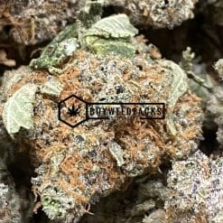 Holy Grail Kush - Online Dispensary Canada - Buyweedpacks