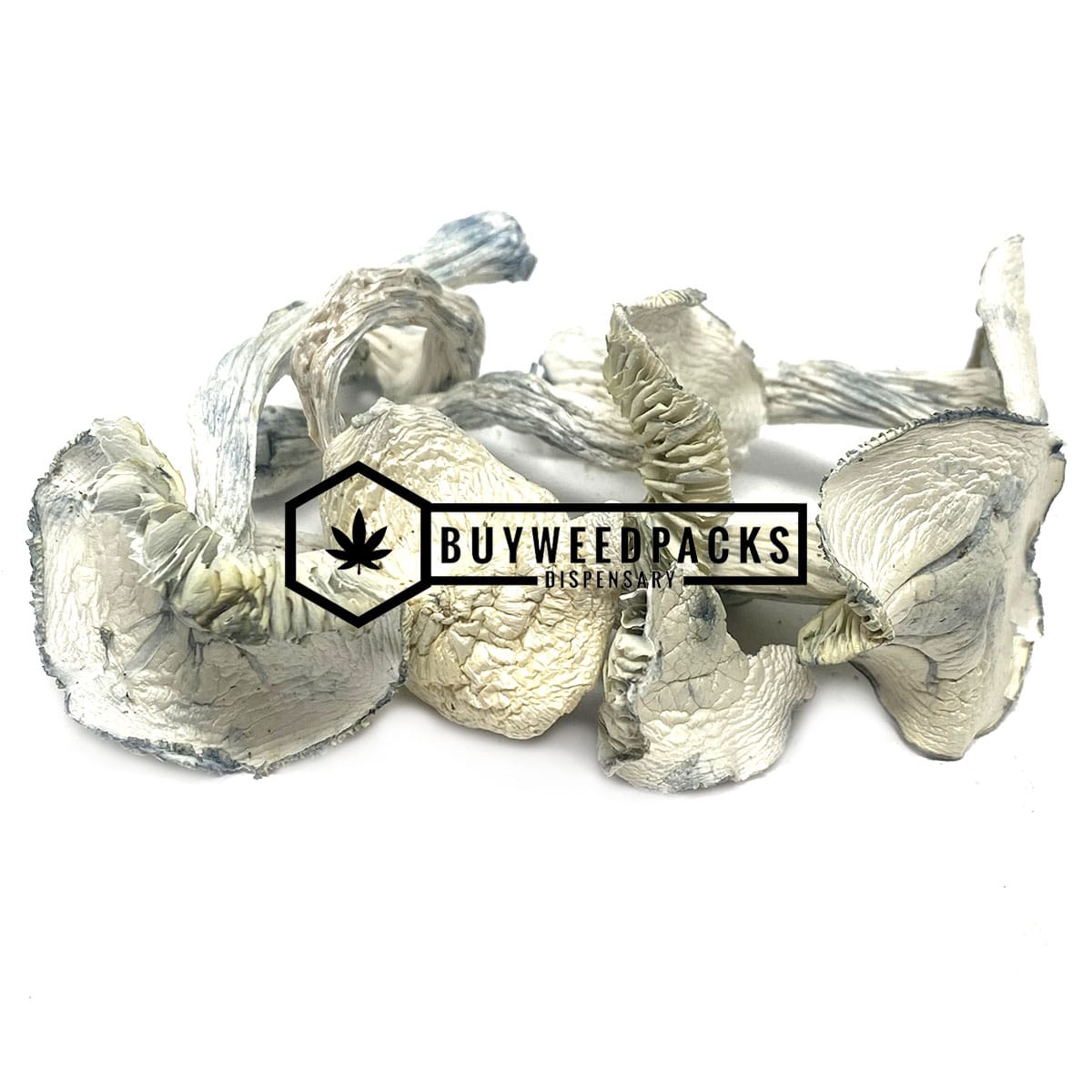 Jedi Mind Fuck Magic Mushroom - Online Dispensary Canada - Buyweedpacks