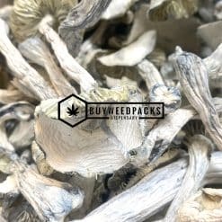 Jedi Mind Fuck Magic Mushroom - Online Dispensary Canada - Buyweedpacks