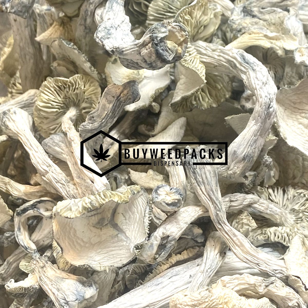 Jedi Mind Fuck Magic Mushroom - Online Dispensary Canada - Buyweedpacks