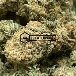 Maui Mango Diesel - Online Dispensary Canada - Buyweedpacks