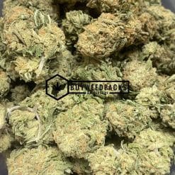 Maui Mango Diesel - Online Dispensary Canada - Buyweedpacks