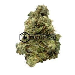 Mk Ultra | Buy Online Weeds | Buyweedpacks
