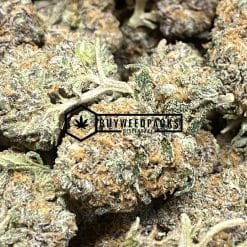 Peanut Butter Rockstar x Unicorn Poop - Online Dispensary Canada - Buyweedpacks