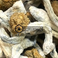 Penis Envy Magic Mushrooms - Online Dispensary Canada - Buyweedpacks