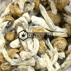 Penis Envy Magic Mushrooms - Online Dispensary Canada - Buyweedpacks