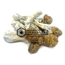 Penis Envy Magic Mushrooms - Online Dispensary Canada - Buyweedpacks