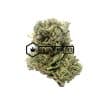 Pink Kush - Buy Weed Online - Buyweedpacks