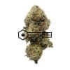 Pink Tuna - Online Dispensary Canada - Buyweedpacks