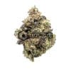 Purple Mcrupp - Online Dispensary Canada - Buyweedpacks