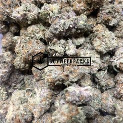 Purple Skunk - Online Dispensary Canada - Buyweedpacks
