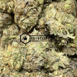 Rockstar - Online Dispensary Canada - Buyweedpacks