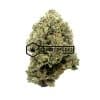 Rockstar Tuna - Online Dispensary Canada - Buyweedpacks