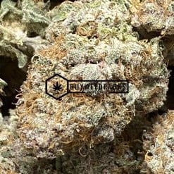 SFV OG - Online Dispensary Canada - Buyweedpacks