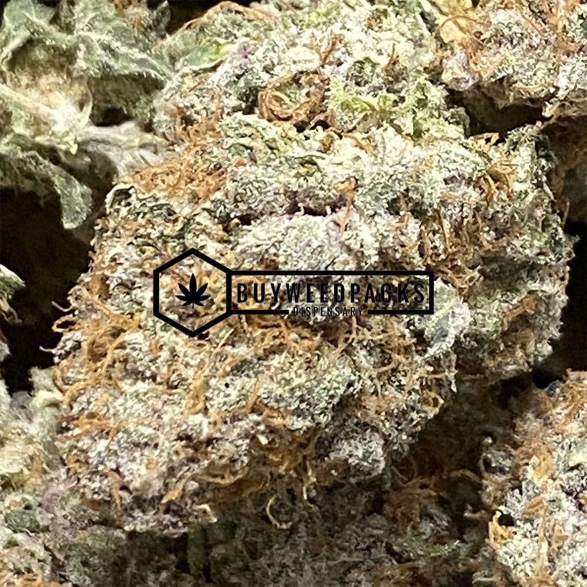 SFV OG - Online Dispensary Canada - Buyweedpacks