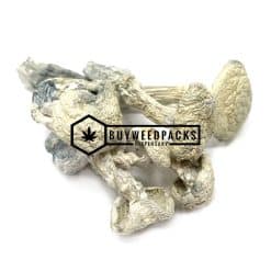 Snow White Magic Mushroom - Online Dispensary Canada - Buyweedpacks