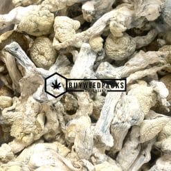 Snow White Magic Mushroom - Online Dispensary Canada - Buyweedpacks