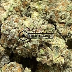 Sour Diesel - Online Dispensary Canada - Buyweedpacks