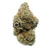 Sour Diesel - Online Dispensary Canada - Buyweedpacks