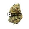 Supreme OG - Online Dispensary Canada - Buyweedpacks
