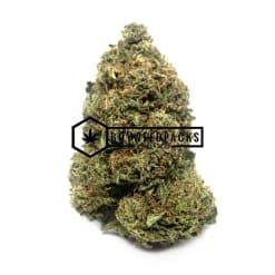 Tang Tang Online Dispensary Canada - Buyweedpacks