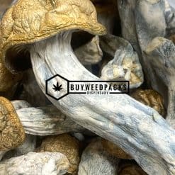 Tidal Wave Magic Mushroom - Online Dispensary Canada - Buyweedpacks