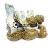 Tidal Wave Magic Mushroom - Online Dispensary Canada - Buyweedpacks