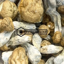 Tidal Wave Magic Mushroom - Online Dispensary Canada - Buyweedpacks