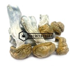 Tidal Wave Magic Mushroom - Online Dispensary Canada - Buyweedpacks