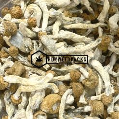 Vietnamese Magic Mushroom - Online Dispensary Canada - Buyweedpacks