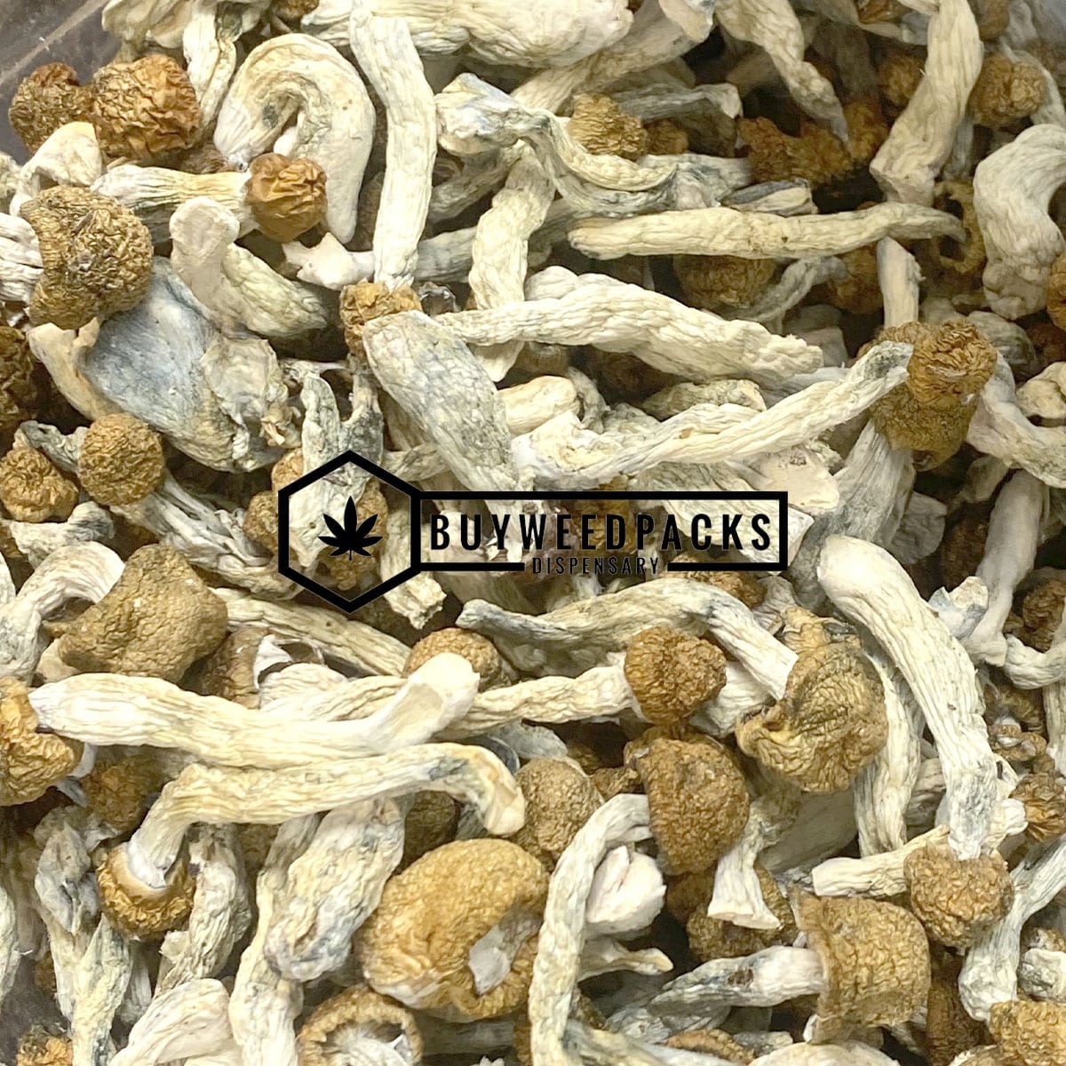 Vietnamese Magic Mushroom - Online Dispensary Canada - Buyweedpacks