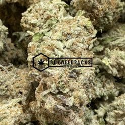Violator Kush - Online Dispensary Canada - Buyweedpacks