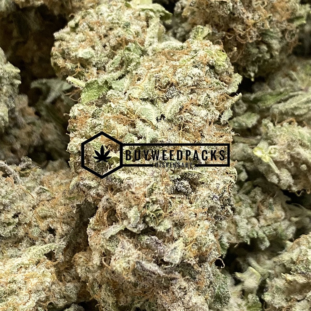 Violator Kush - Online Dispensary Canada - Buyweedpacks