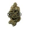 Violator Kush - Online Dispensary Canada - Buyweedpacks