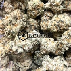 Zombie Kush - Online Dispensary Canada - Buyweedpacks